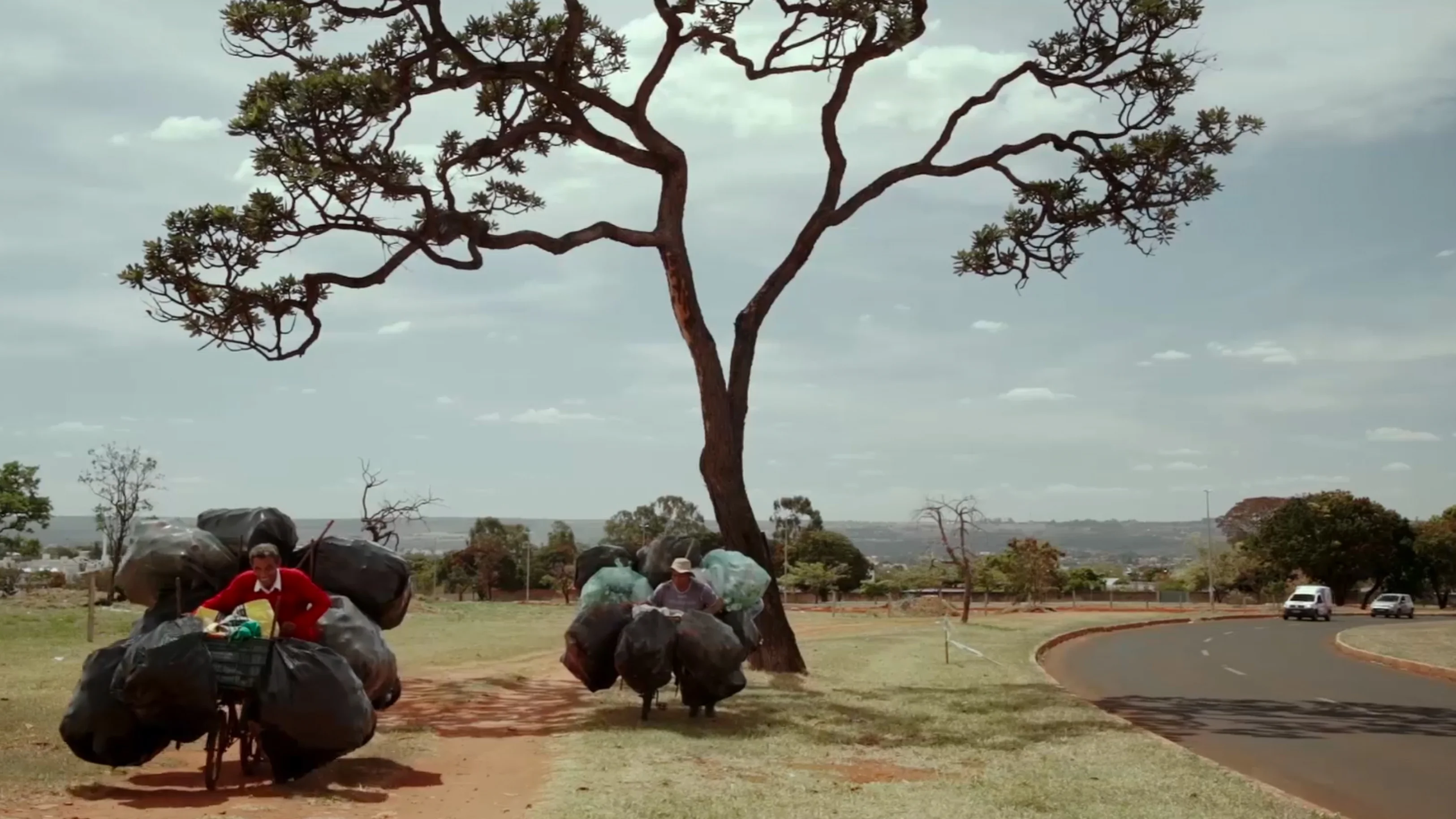 El camino de las cargueiras, documental