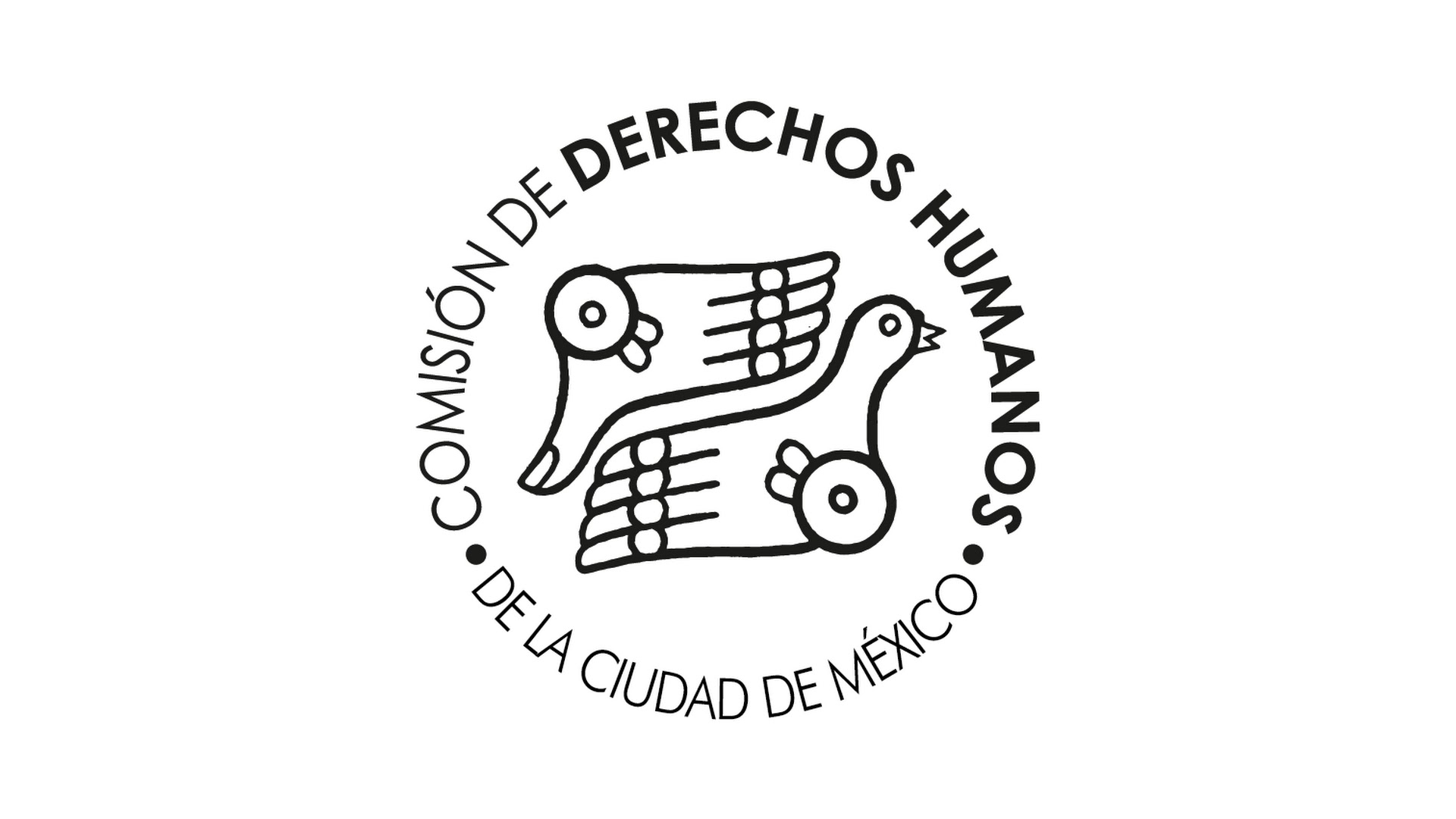 comisión derechos humanos cdmx